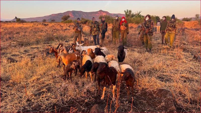 Police overpowered cattle rustlers in Isiolo County.